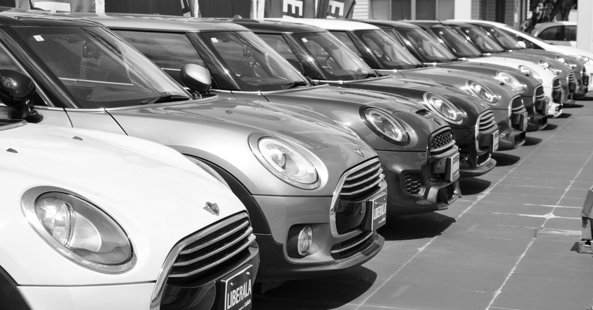 Used cars lined up for sale